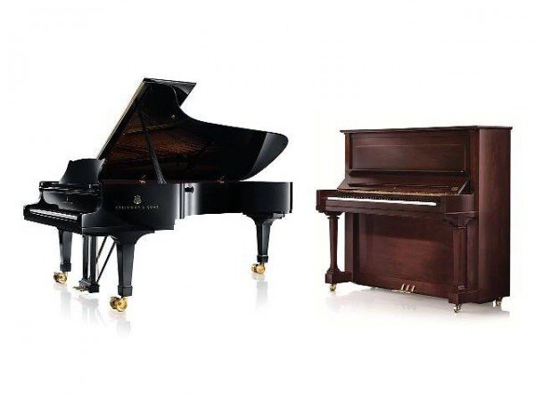 Стыдно не знать различий!