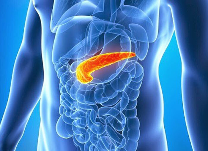 Фото из открытого источника.