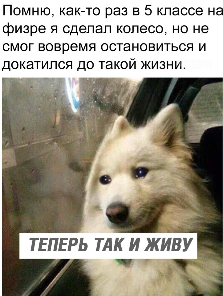 Как я докатился до жизни такой песня