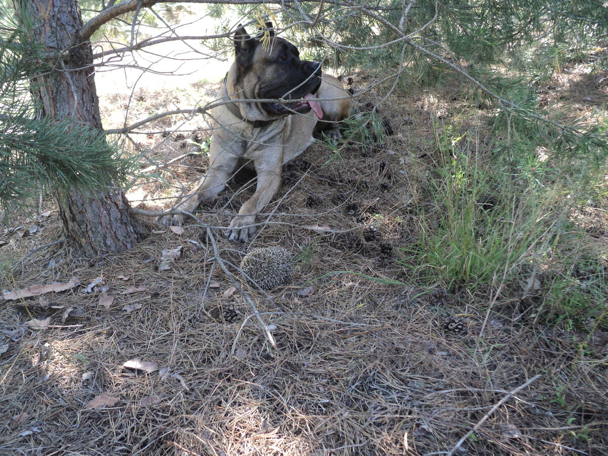 А кого это я нашла такого симпатичного, но необщительного, а?