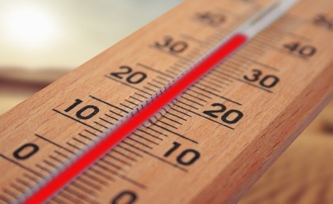 Фото: pixabay.com