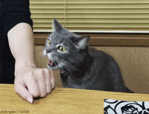 GIF картинка с сайта: tr.pinterest.com