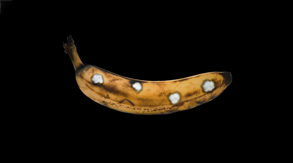 банан с пятнами
