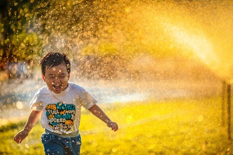 https://images.unsplash.com/photo-1489710437720-ebb67ec84dd2?ixlib=rb-1.2.1&auto=format&fit=crop&w=750&q=80