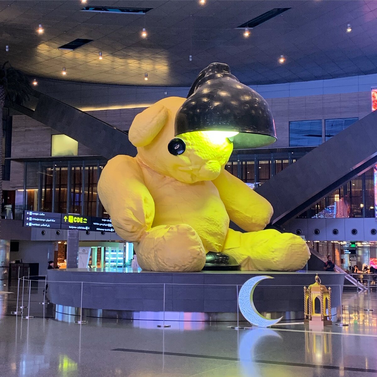 Медведь в аэропорту города Доха. Тоже не наш