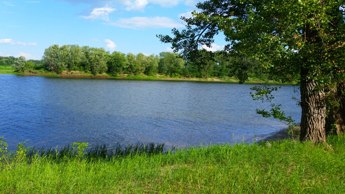 Подпишитесь на канал и поставьте лайк! Вы поможете развитию канала! Заранее, от всей души, благодарю! 