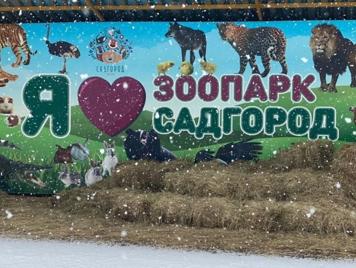  instagram.com/zoopark_vl, Животным не на что приобретать корм и оплачивать отопление