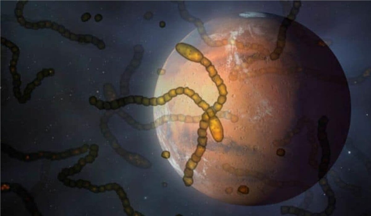 Для обложки