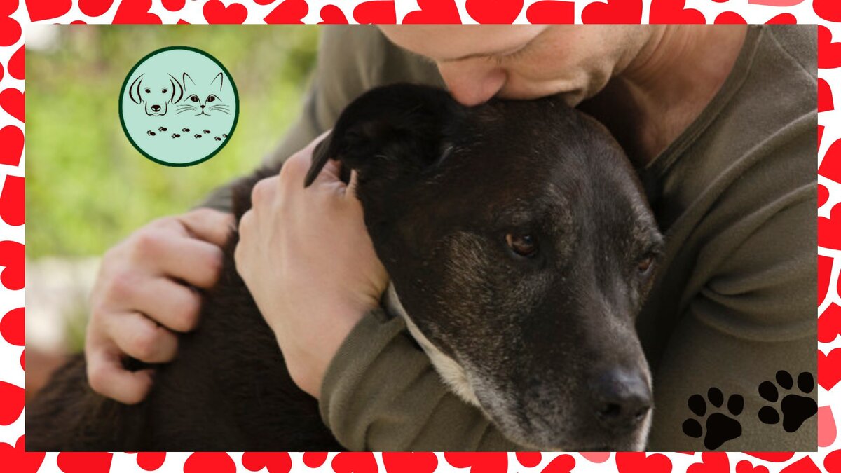 Ставьте лайки, подписывайтесь на канал!