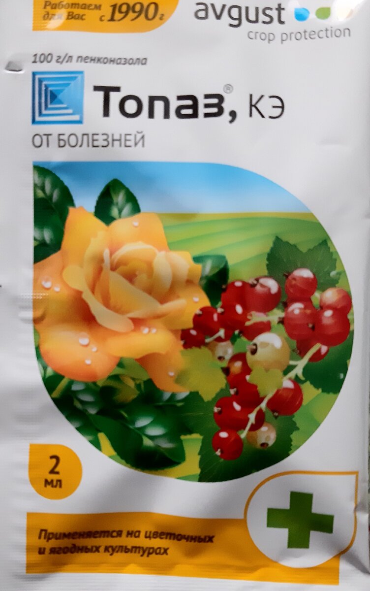 Топаз - от комплекса болезней