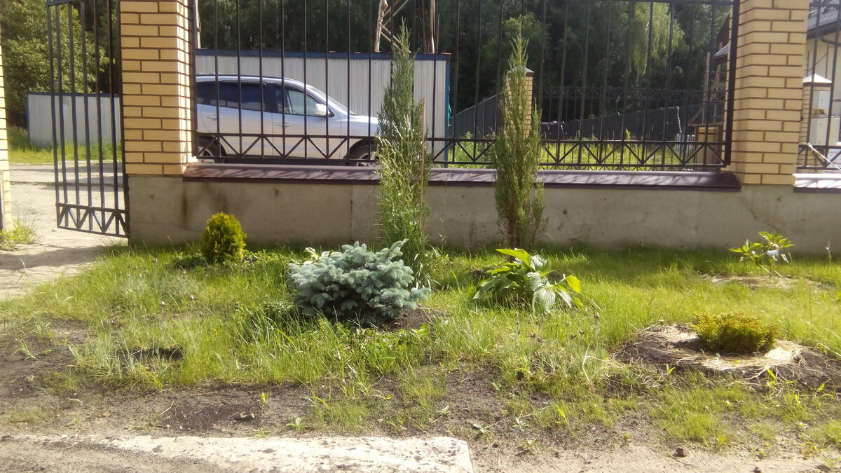 Практически историческое фото 11.06.2015😂