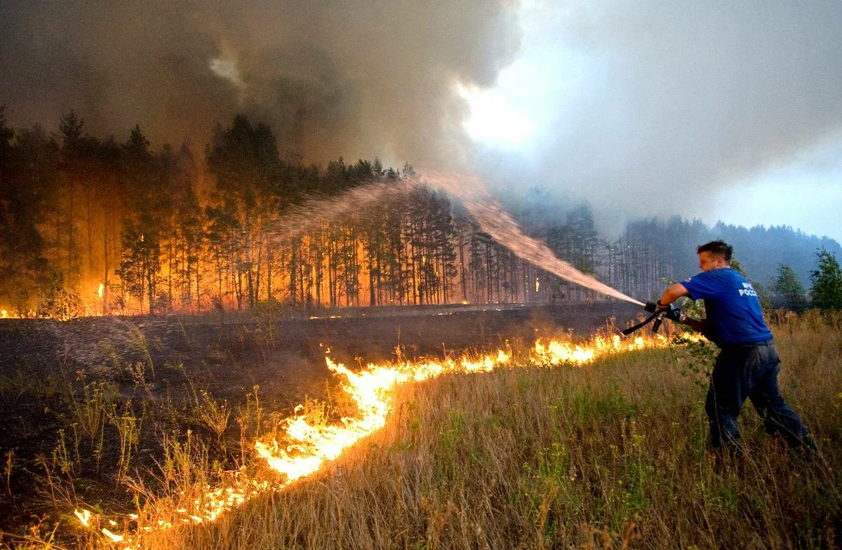 Большой пал. Пожары. Лесные пожары. Пожары 2010. Лесные пожары в России