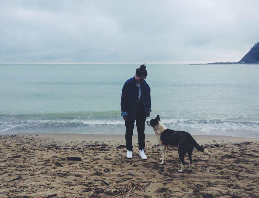 Добавьте описание