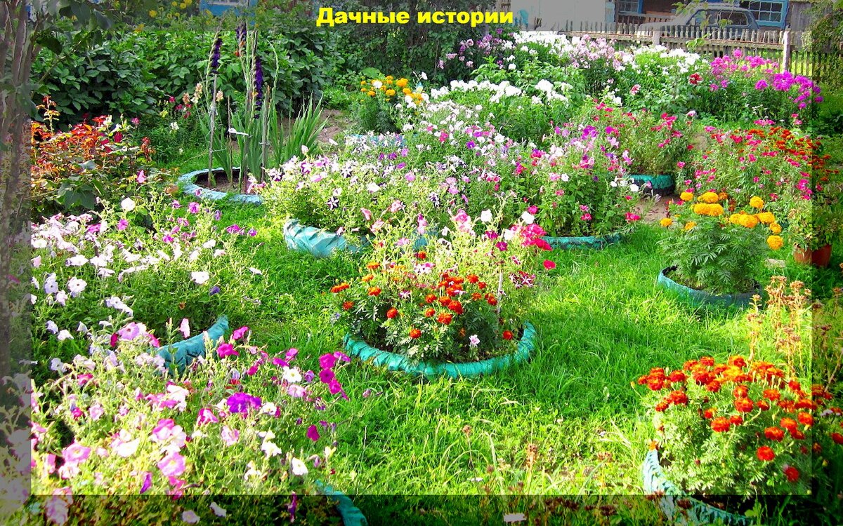 https://vk.com/photo-159774511_457248560