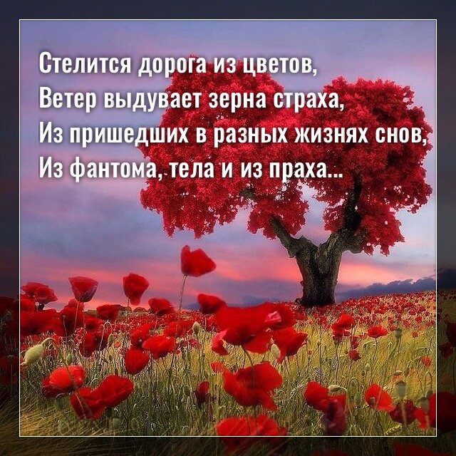 фото с просторов интернета