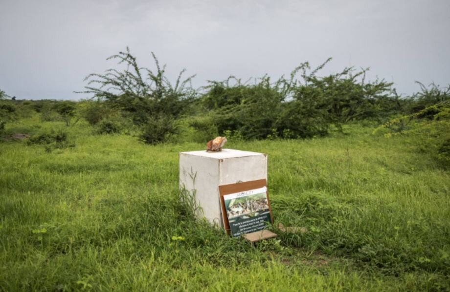Первый камень криптогорода Эйкона в Сенегале. Источник: Agence France-Press