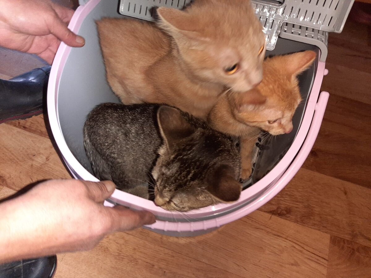 Приезд на новое место.