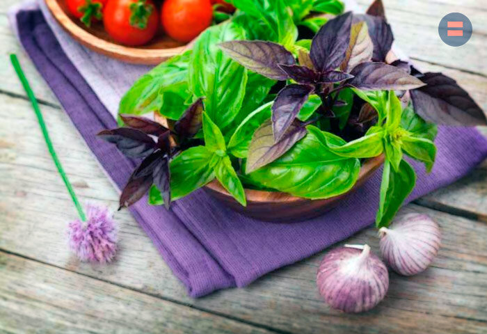 Ешьте базилик!