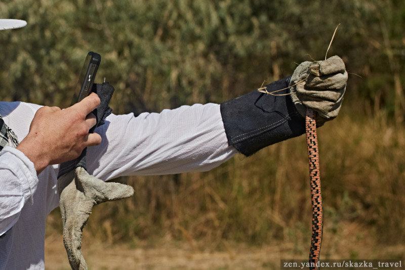 Фото на память со змеей