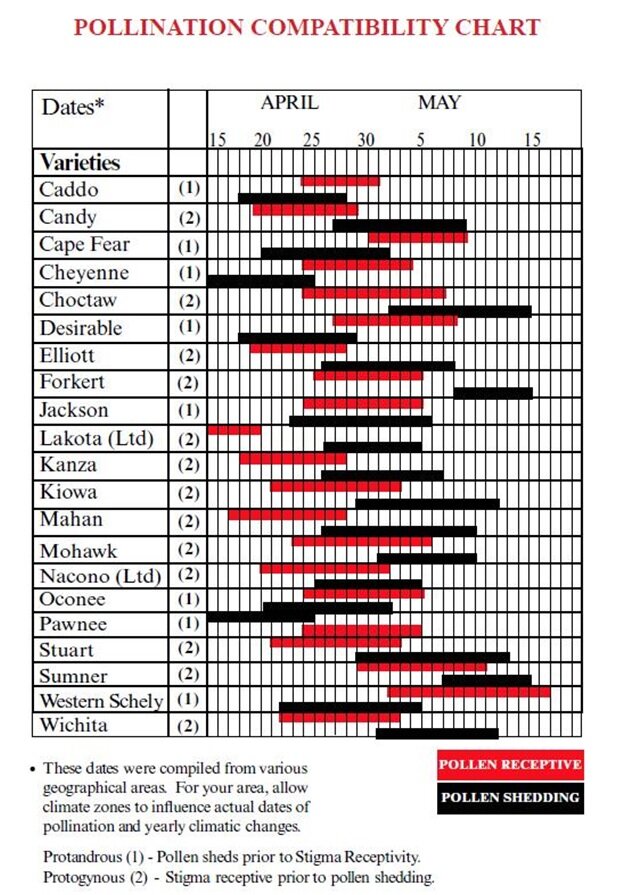 Подробная таблица №1