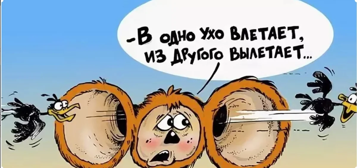 В открытый роток влетел. В одно ухо ВЛИЕЛ В другое в ылетело. В одно ухо влетело в другое вылетело. В одно ухо влетело в другое вылетело рисунок. В одно ухо влетело из другого вылетело.