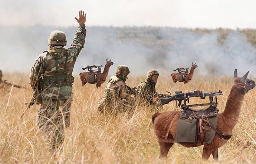 боевые ламы на вооружении у аргентинских пограничников 