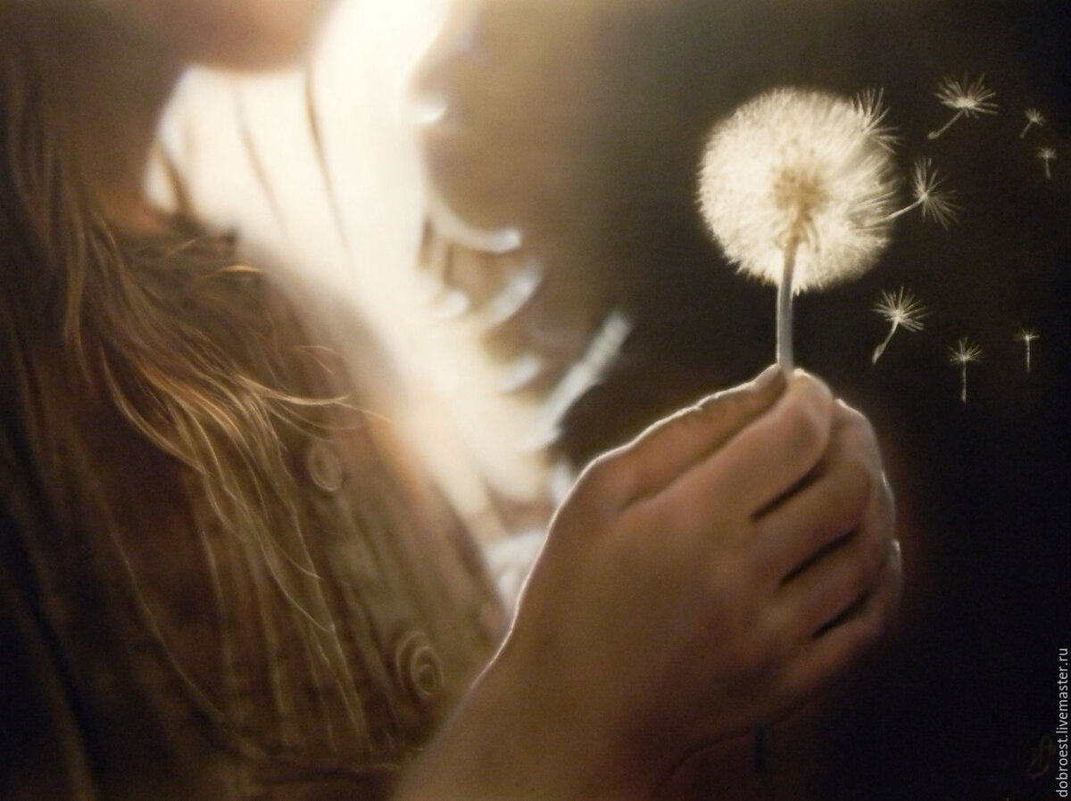 Картинка взята из общего доступа.