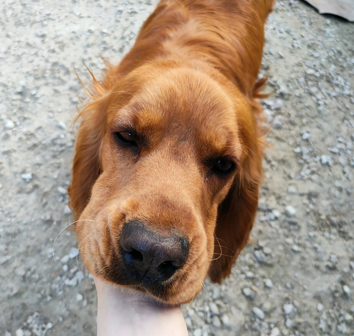 Солнышко ☀️