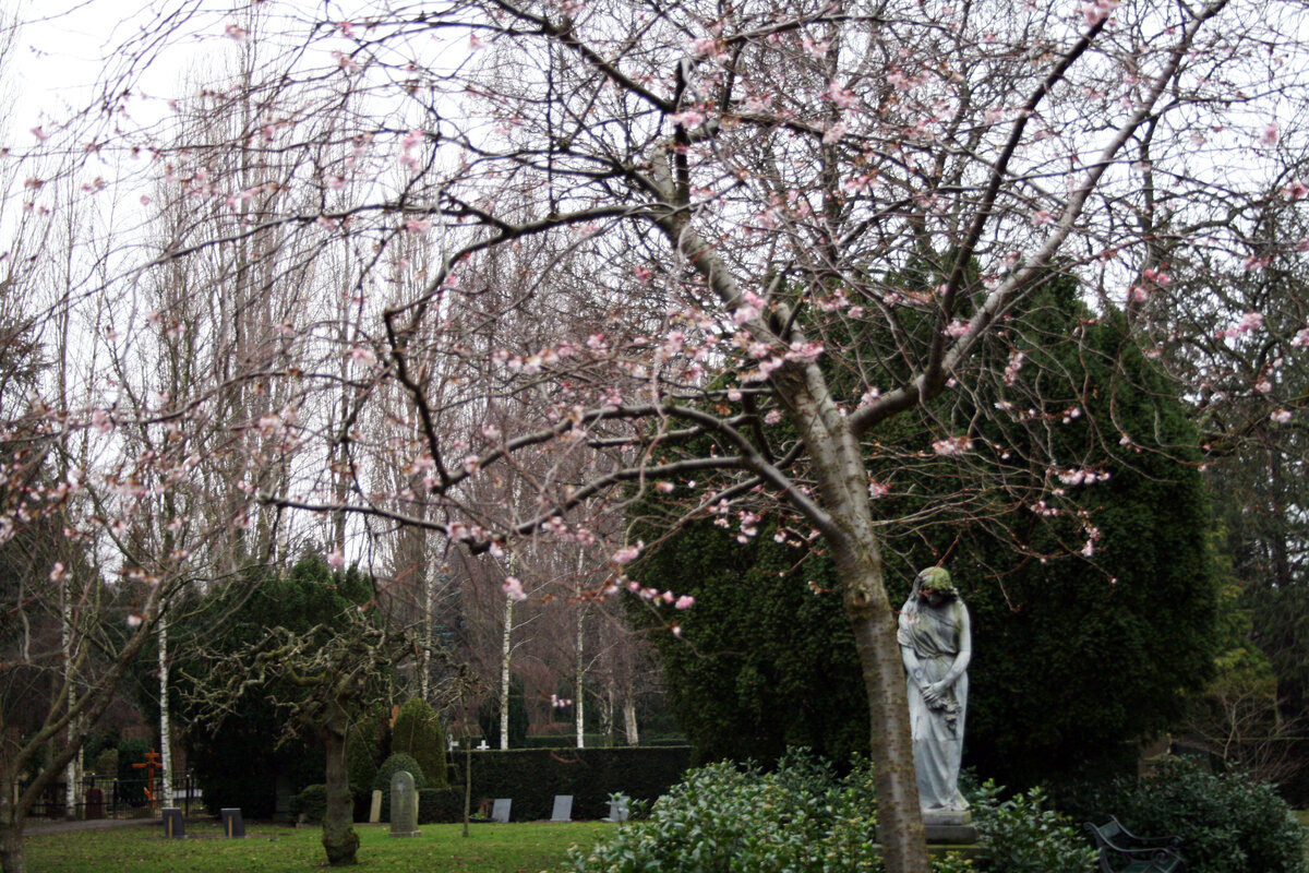 Assistens