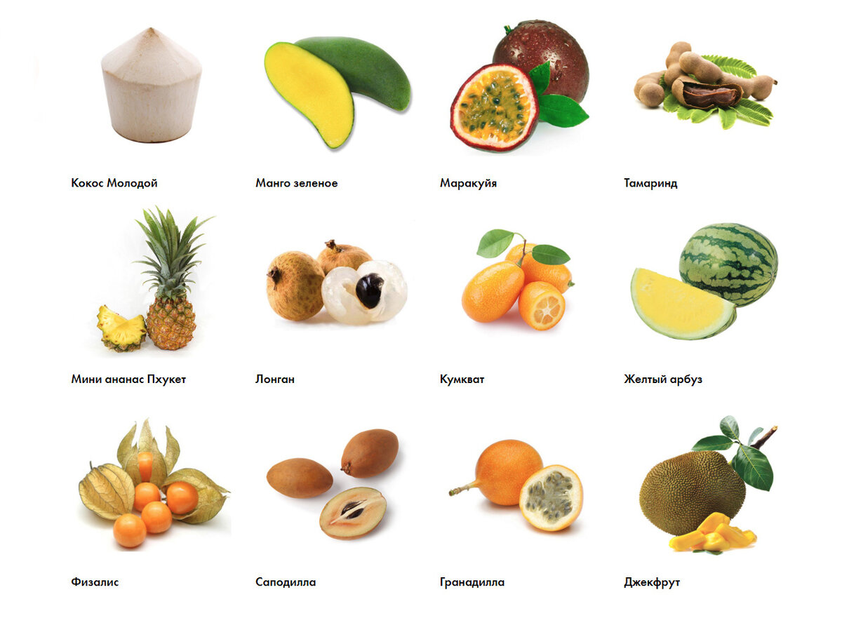 тропические фрукты фото с названиями