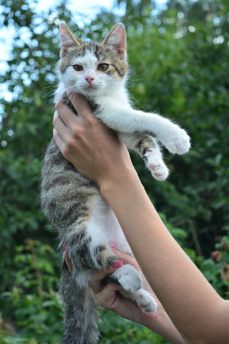 Я очень хочу домой 