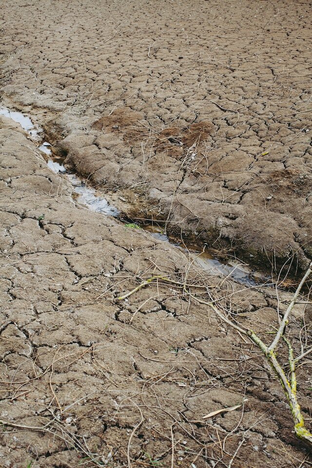 Спас от засухи. Засуха. Эрозия почвы. Засуха ЧС. Засуха Подмосковье 2022.
