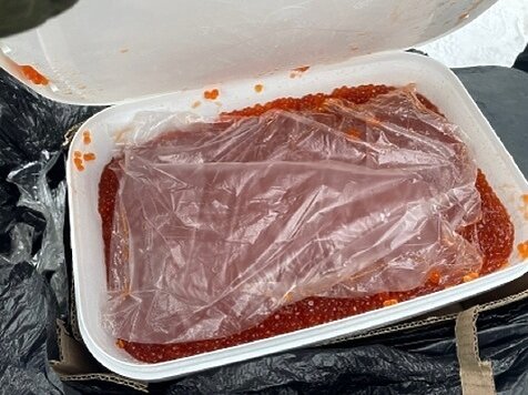 Фото: Следком РФ.