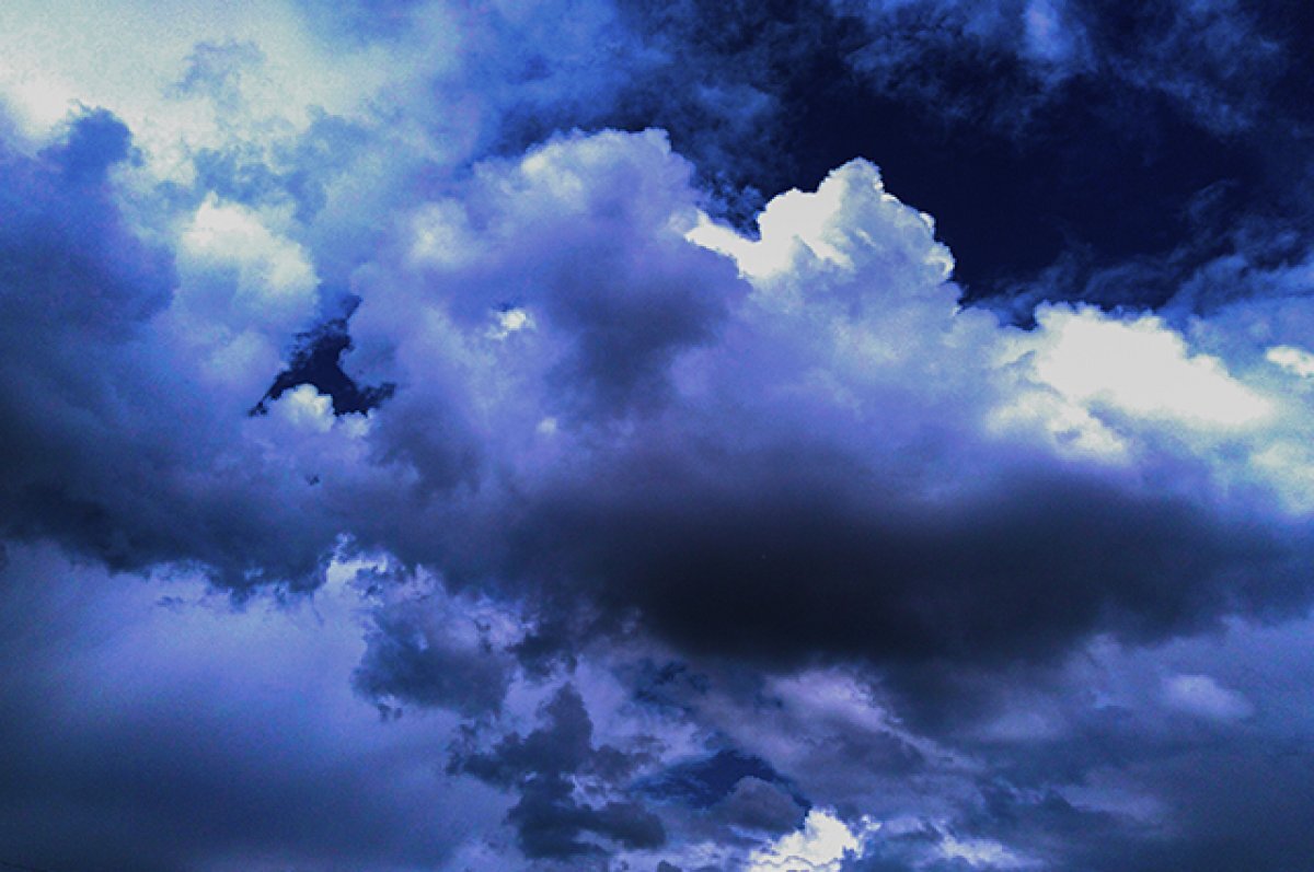    В ближайшие часы в Пензенской области ожидаются гроза и сильный ветер