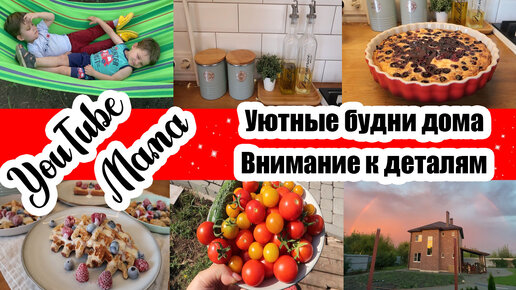 ПОКУПКИ К ШКОЛЕ 🙂 ◾ ФИНСКИЙ ПИРОГ С ГОЛУБИКОЙ 🥧 ◾ КАК ДЕЛА У ДАНИ 👦 ◾ НОВЫЙ ГАМАК ◾ БЕЗ ФИЛЬТРОВ 🤩🏡