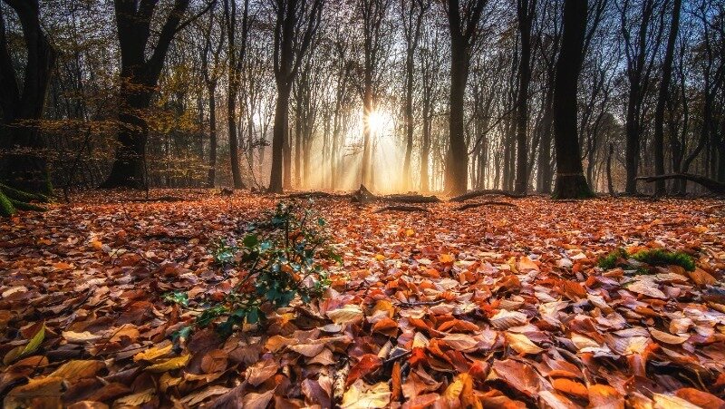 Фото: @wirestock / ru.freepik.com