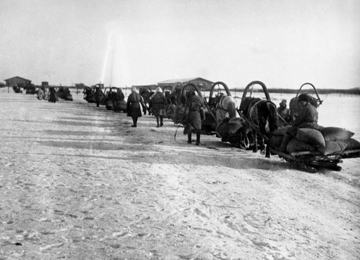 Коммуняки ограбили губернию и вывозят хлеб в Кремль - кормить верхушку Вкп(б) и их любовниц.