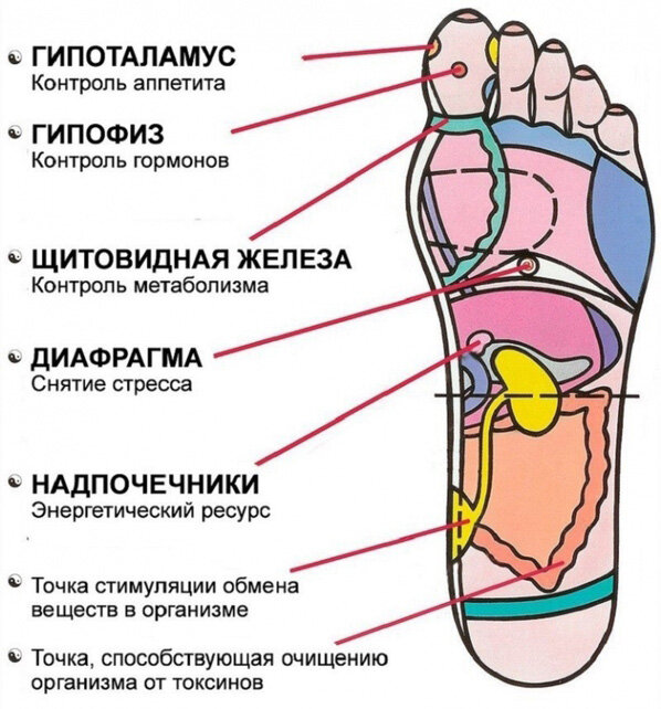 Содержание