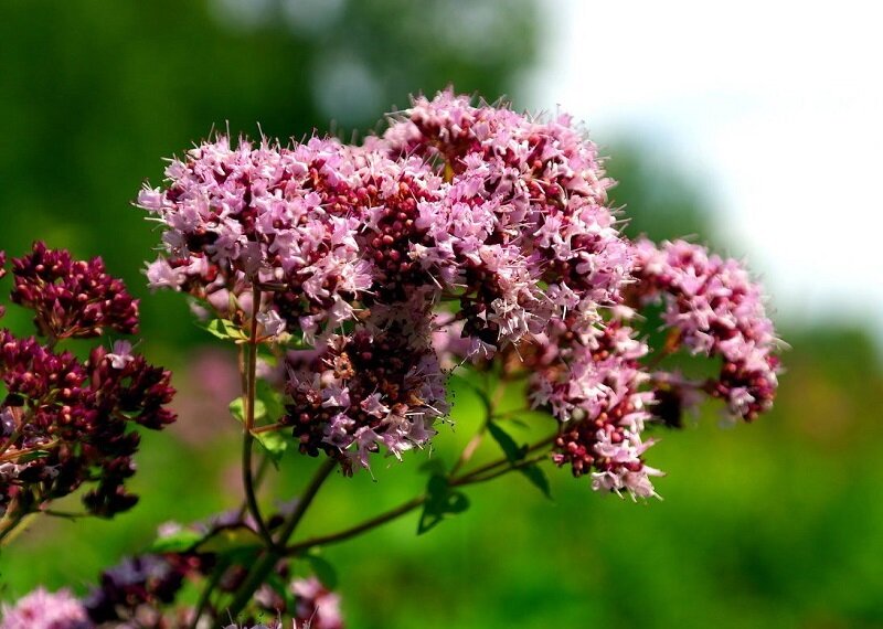 Фото: maminy-shpargalki.com