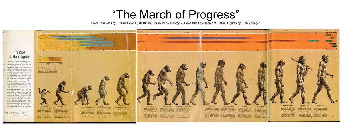 «The Road to Homo Sapiens» .  Художник Рудольф Золинджер.  