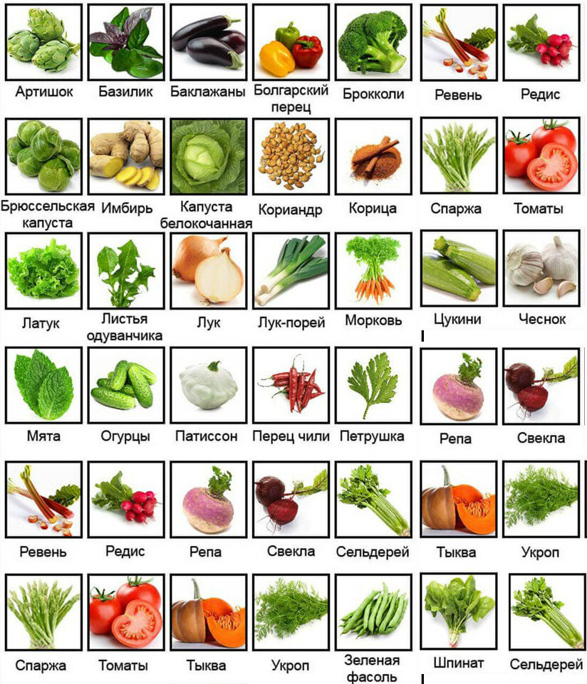 Зеленые овощи список с фото и названиями