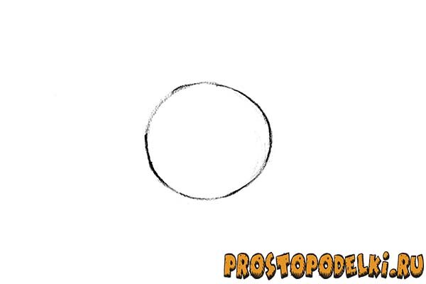 Голову мифического животного изобразим на первоначальном этапе в виде окружности.
 