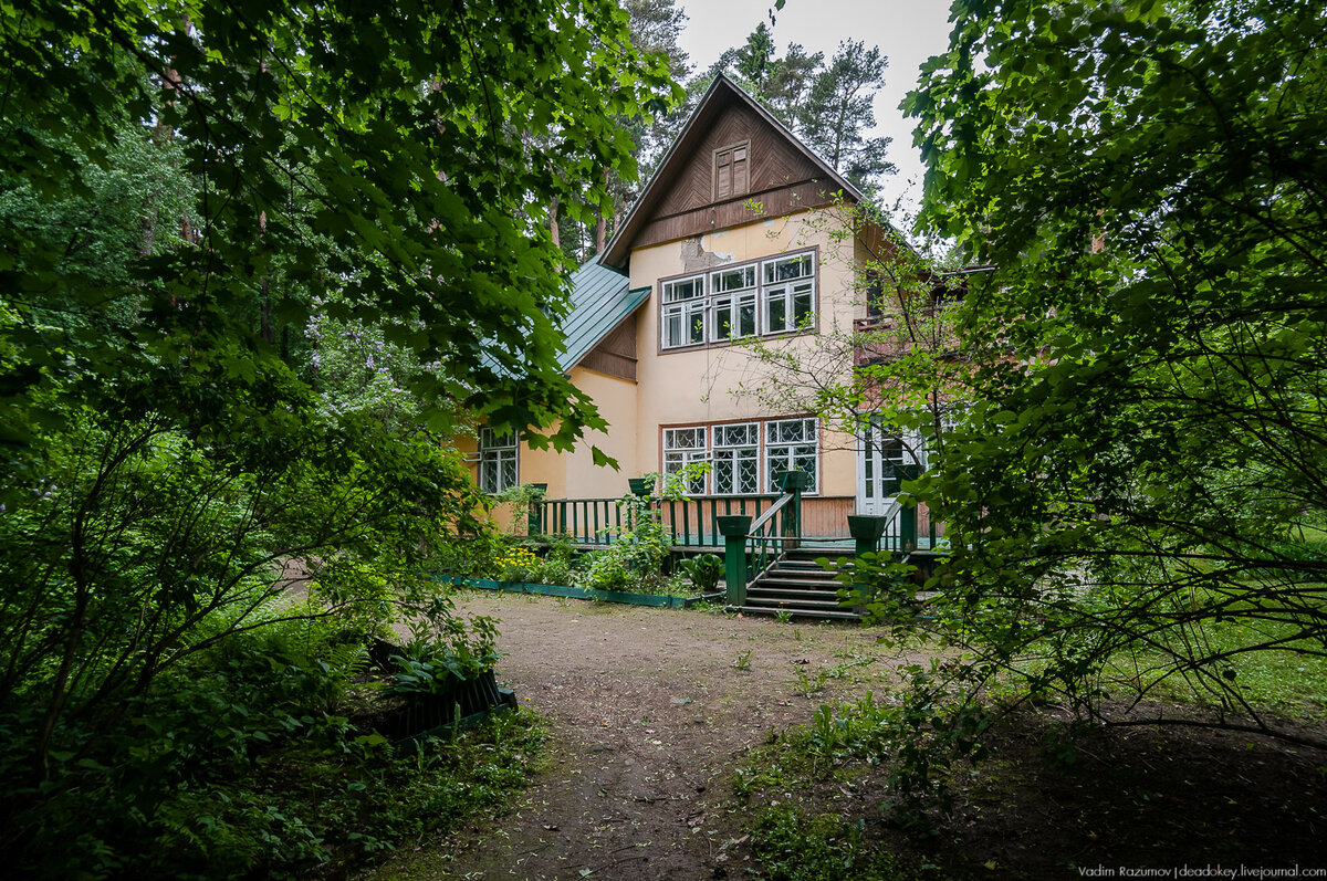 
14035
Дата фотографий: 9 июня 2017 года.
