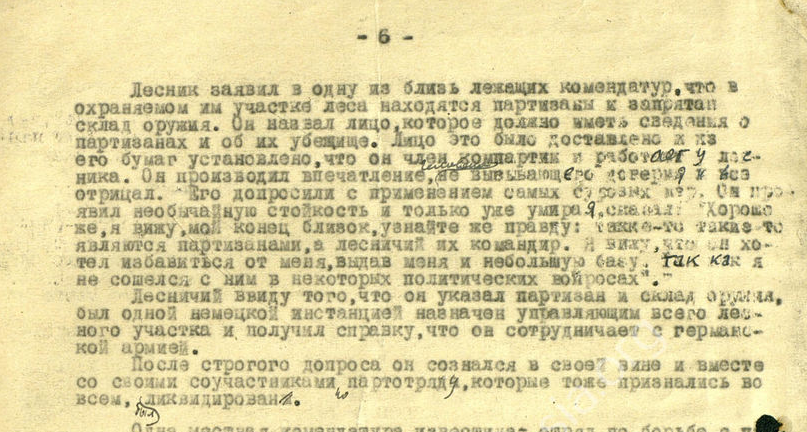                                      Перевод немецкого документа