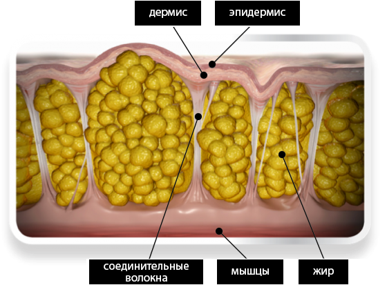 фото с сайта: Woman.ua