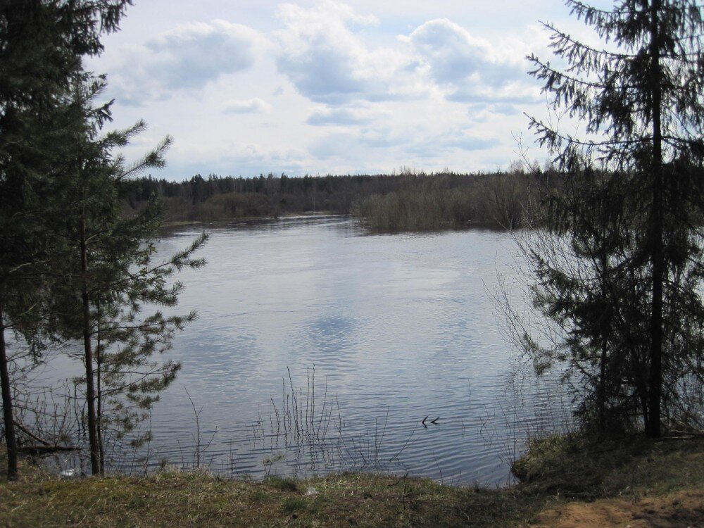 Погода на месяц хвойная новгородская