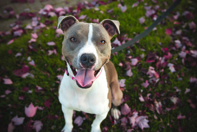 Лайк и подписка улыбаке! 😜 😝 