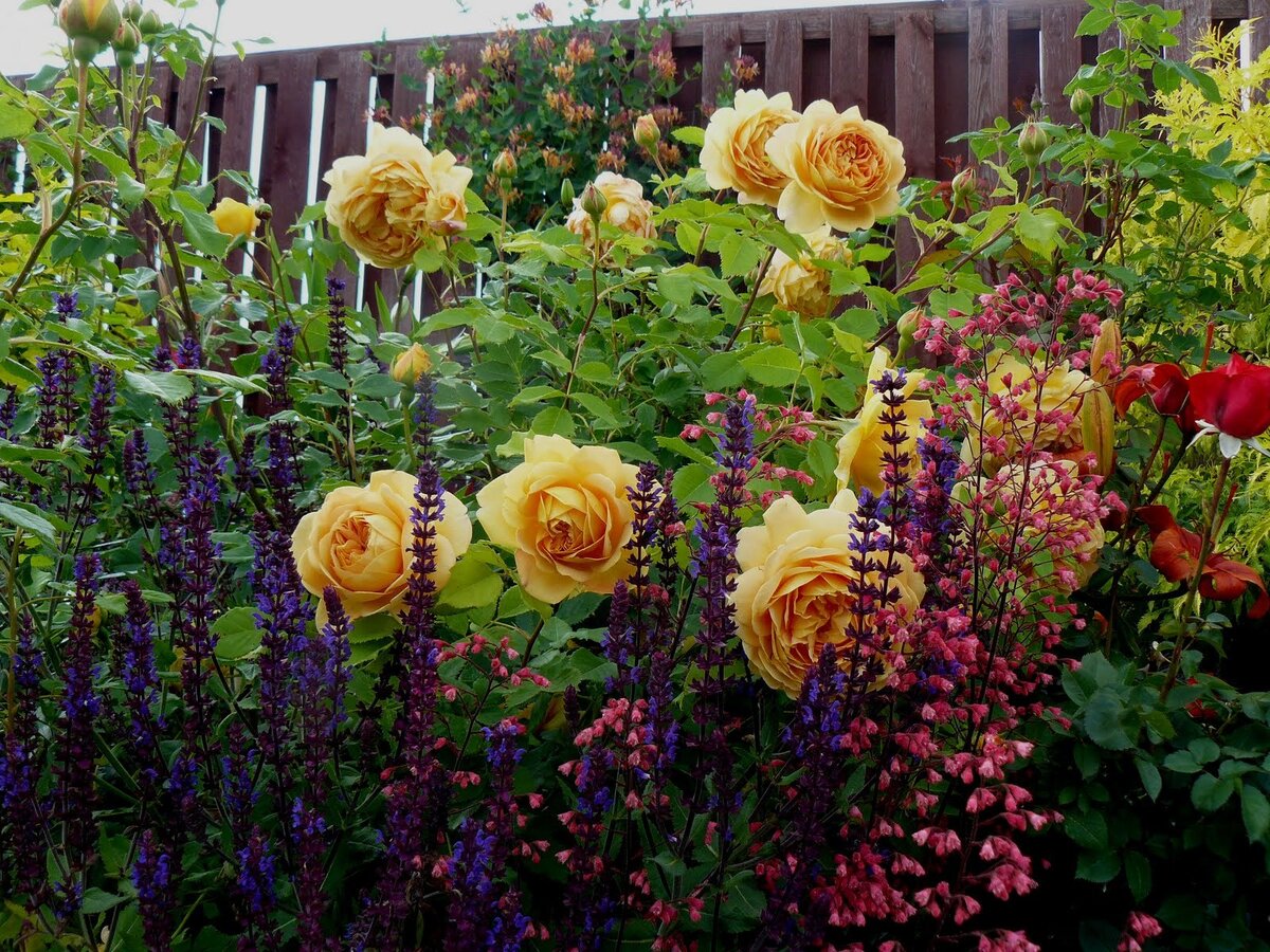 Фото с сайта: decorateme.com