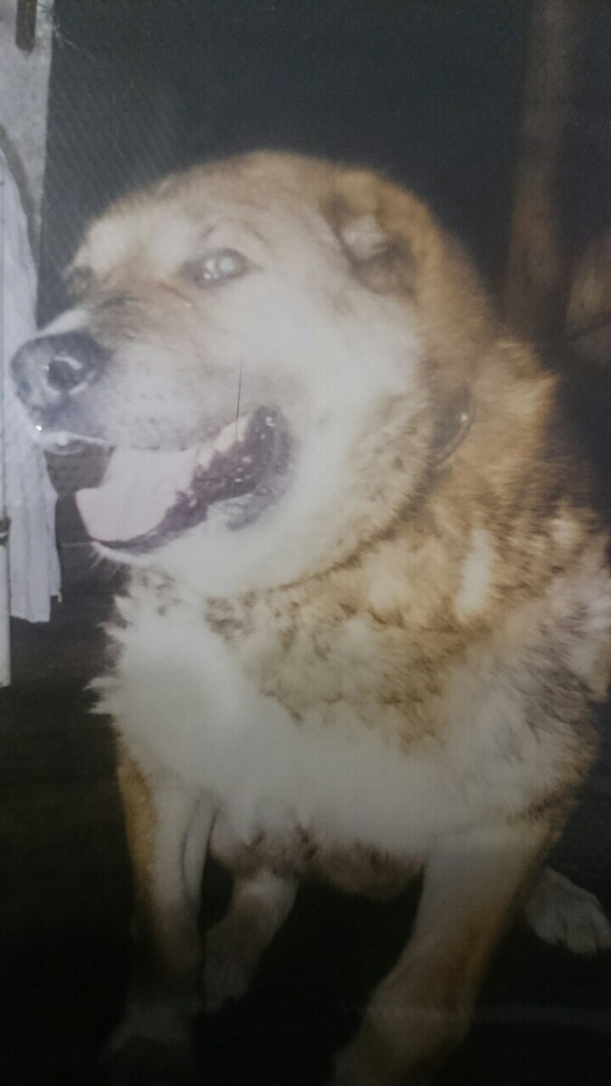 Любимый Бабай.