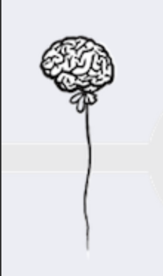 Это создателям дискриминации потребителей подарок на память авторская работа от создателей @mr.freeman_original